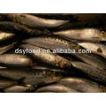 frozen fresh whole sardine fish